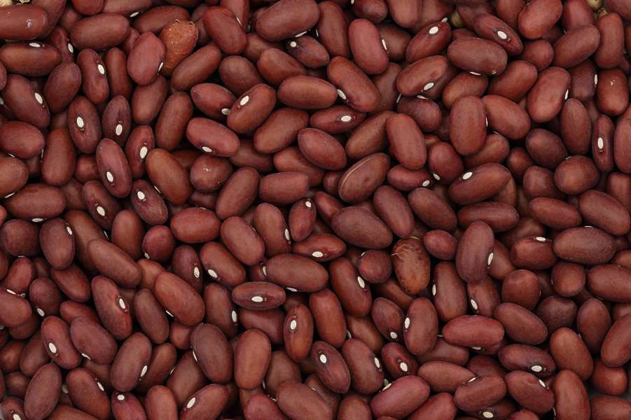 FoodGrains0013 Free Background Texture grain graines bean beans red